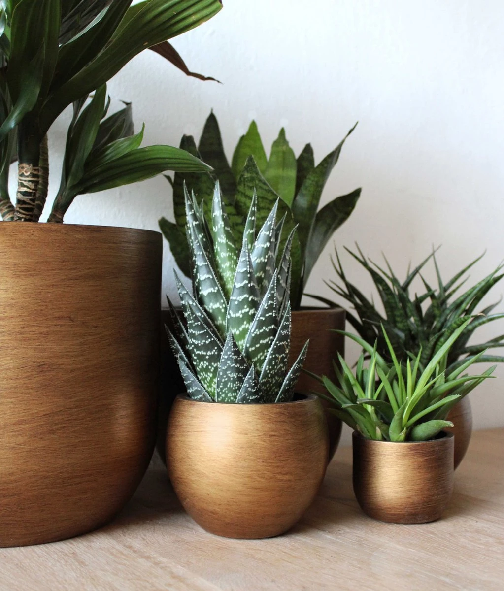 Capi Europe - Bloempot Bol Retro - 23x21 - Goud - Bloempot Voor Binnen - BRTG134 - Afbeelding 5