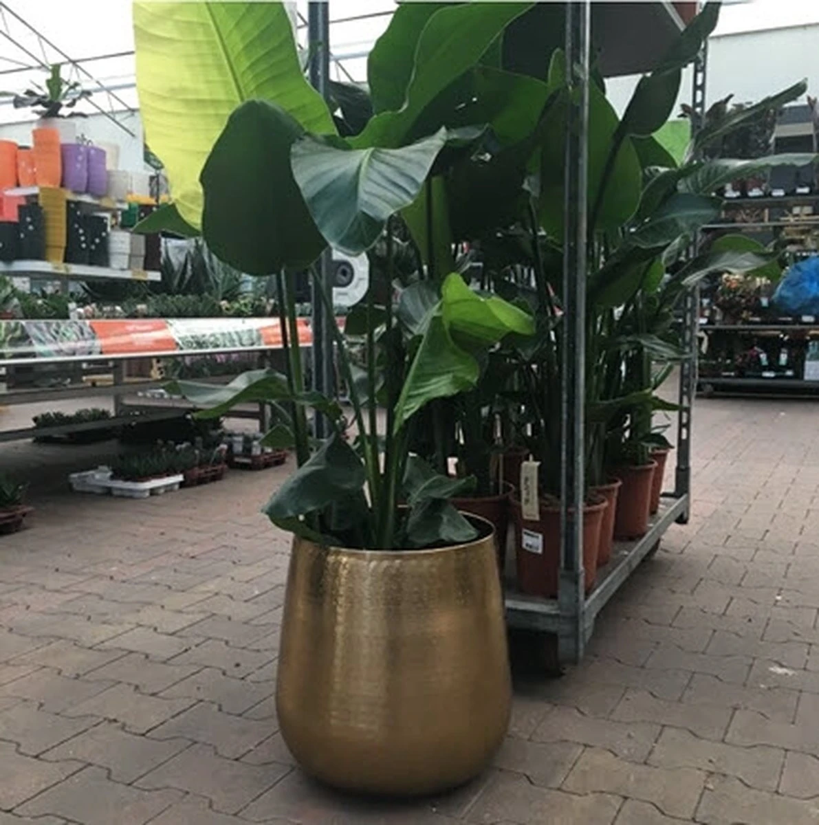 Merkloos Bloempot Karakter Goud - L - Afbeelding 4