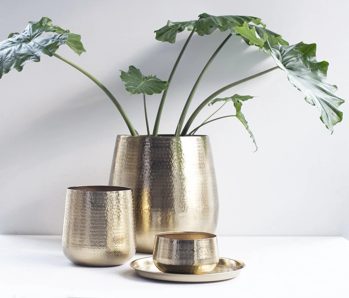 Gina Da - Bloempot - Karakter - Goud - Metaal - 15 Cm Hoog - Afbeelding 5