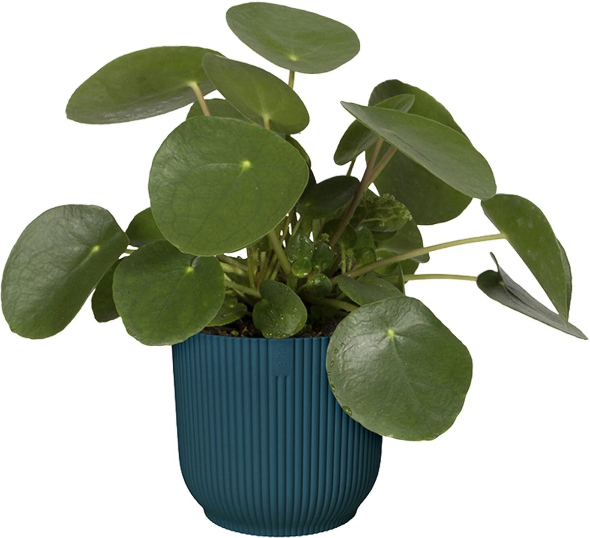 Elho Vibes Fold Rond 22 - Bloempot Voor Binnen - Ø 22.0 X H 20.2 Cm - Diepblauw - Afbeelding 7