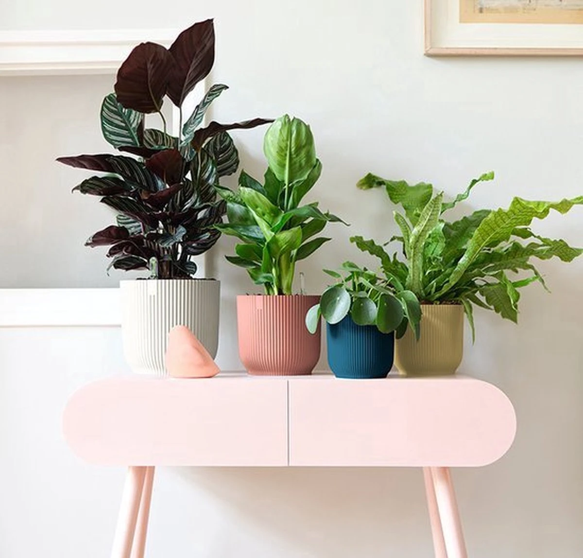 Elho Vibes Fold Rond Wielen 35 - Bloempot Voor Binnen - Ø 34.9 X H 32.4 Cm - Delicaat Roze - Afbeelding 10