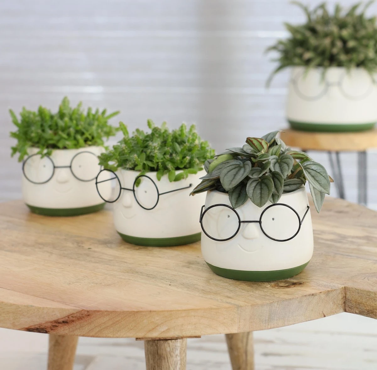 2x Bloempot Met Gezicht - Ø8 X H6,5 Cm - Bloempotten Voor Binnen Met Bril/Face/Hoofd - Afbeelding 3