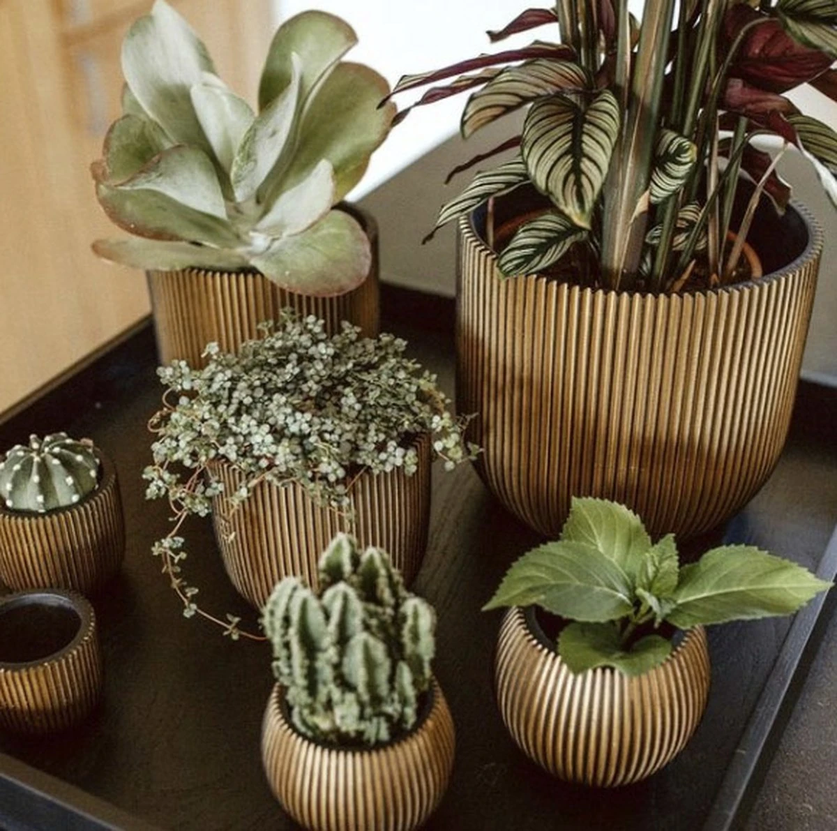 Capi Europe - Bloempot Bol Groove XL - 33x35 - Goud - Bloempot Voor Binnen - Opening ⌀28 - GVGB932 - Afbeelding 5