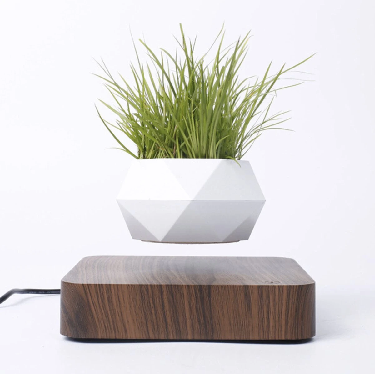 Floatey Design Plant | Zwevende Plant - Bloempot (levitation) - Afbeelding 4
