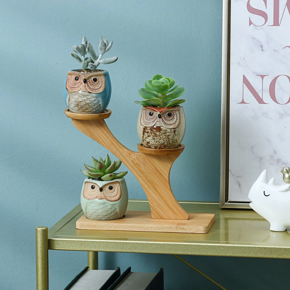 Luxe Bamboe Houten Boom Met 3 Keramiek Uil Bloempotten/Plantenpotten Op Standaard/Voet Voor Binnen En Buiten - Modern Design Bloempot/Plantenpot Op Poten/Pootjes-Plantenbak Mini Cactus Nep Plant Pot Houder - Kleine Bloembakken Plantenrek/Plantenkurk - Afbeelding 3