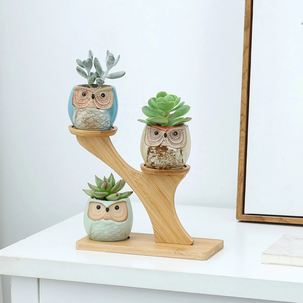 Luxe Bamboe Houten Boom Met 3 Keramiek Uil Bloempotten/Plantenpotten Op Standaard/Voet Voor Binnen En Buiten - Modern Design Bloempot/Plantenpot Op Poten/Pootjes-Plantenbak Mini Cactus Nep Plant Pot Houder - Kleine Bloembakken Plantenrek/Plantenkurk - Afbeelding 5