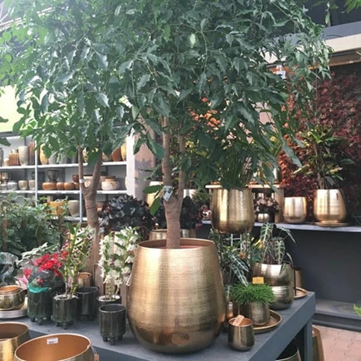 Merkloos Bloempot Karakter Goud - L - Afbeelding 6