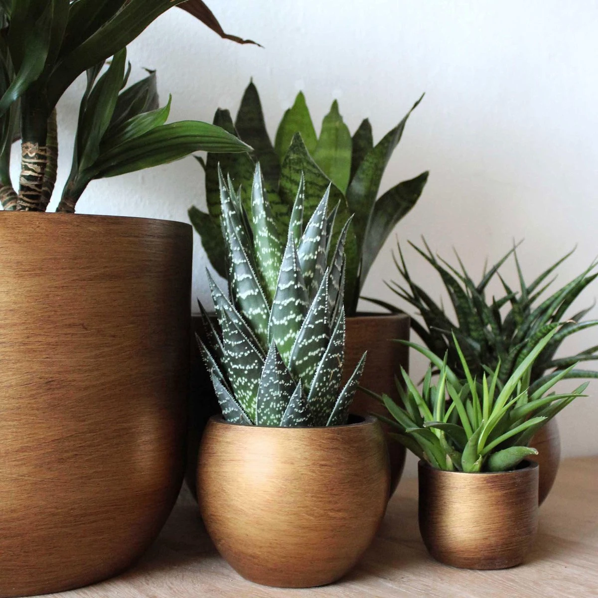 Capi Europe - Vaas Bol Retro - 30x25 - Goud - Bloempot Voor Binnen - BRTG104 - Afbeelding 5