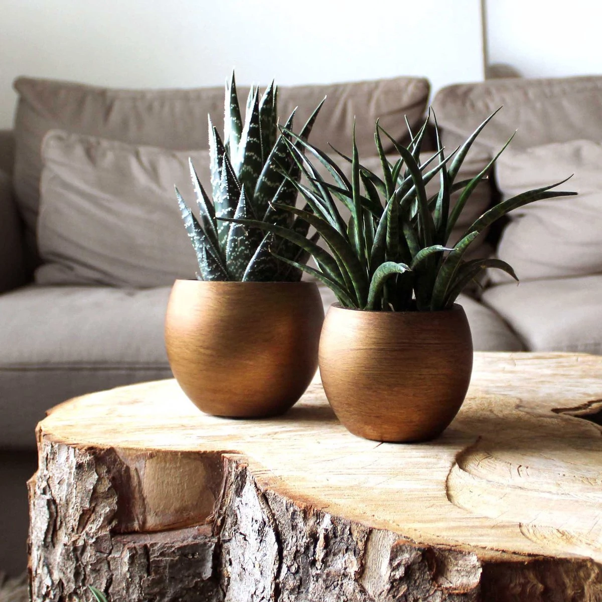 Capi Europe - Vaas Bol Retro - 30x25 - Goud - Bloempot Voor Binnen - BRTG104 - Afbeelding 6