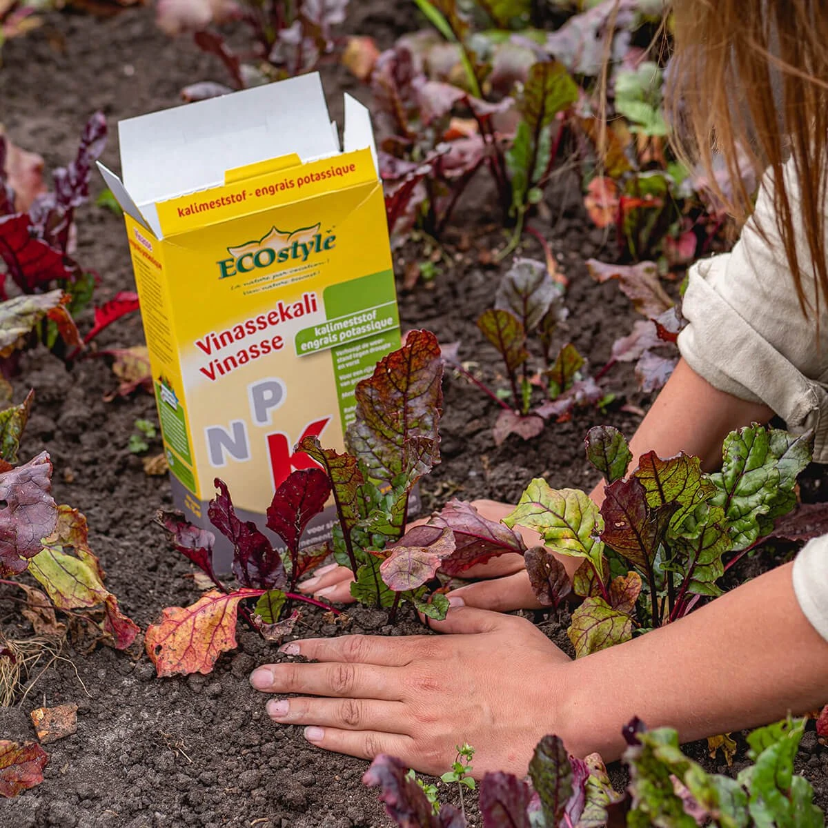 ECOStyle Vinassekali Organische Meststof - Vuor Kaliumtekort - Voor Moestuin, Siertuin En Fruit - Hoger Weerstand Tegen Droogte & Vorst - 15M² - 800 GR - Afbeelding 5