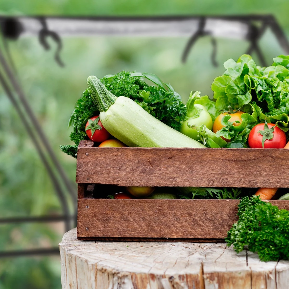 Relaxdays Kweekkas Pvc Met 2 Deuren - Lage Foliekas - Kleine Tuinkas - Plantenkas Tuin - Afbeelding 6