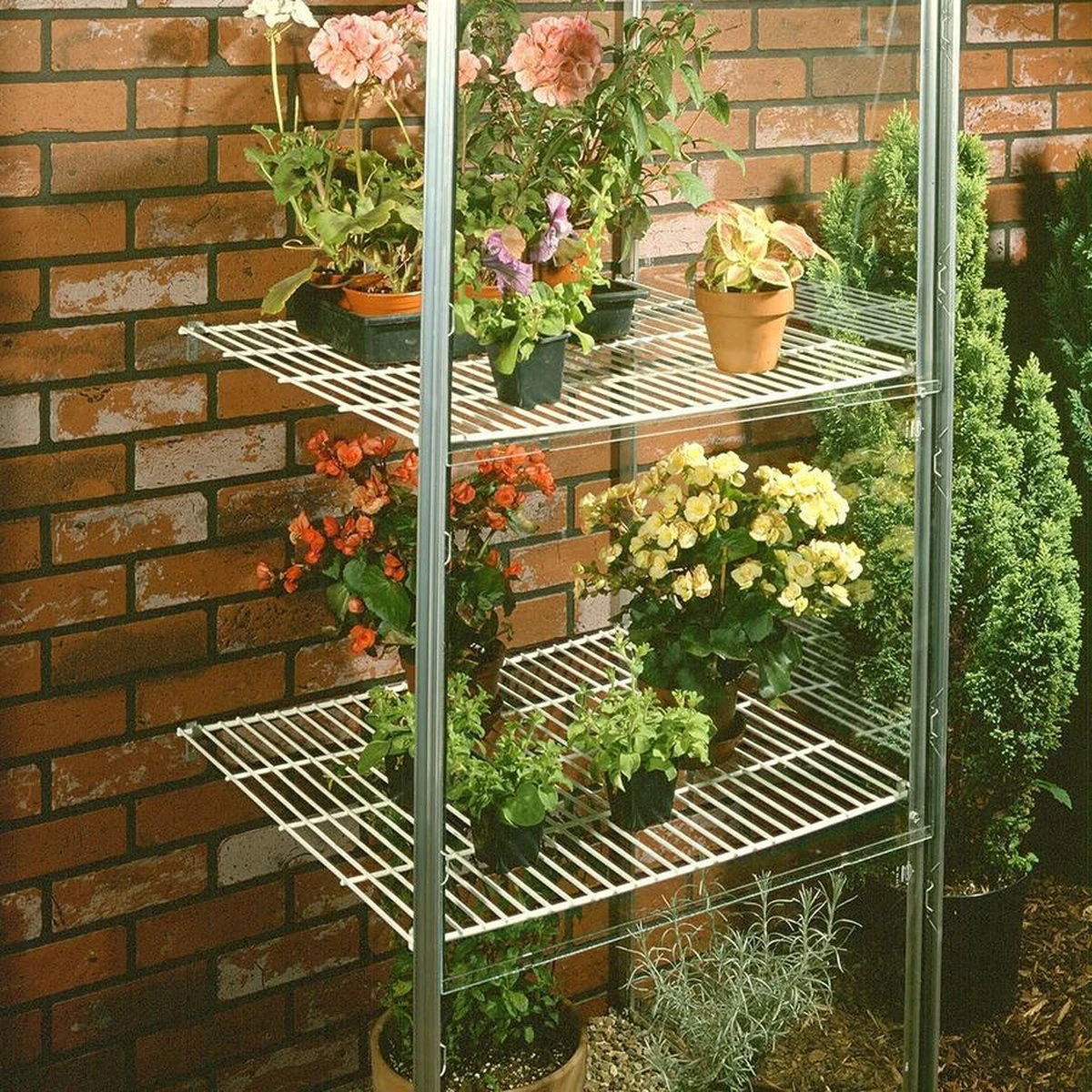 Royal Well Wall Garden 42 Muurkas Glas Groen - Afbeelding 3