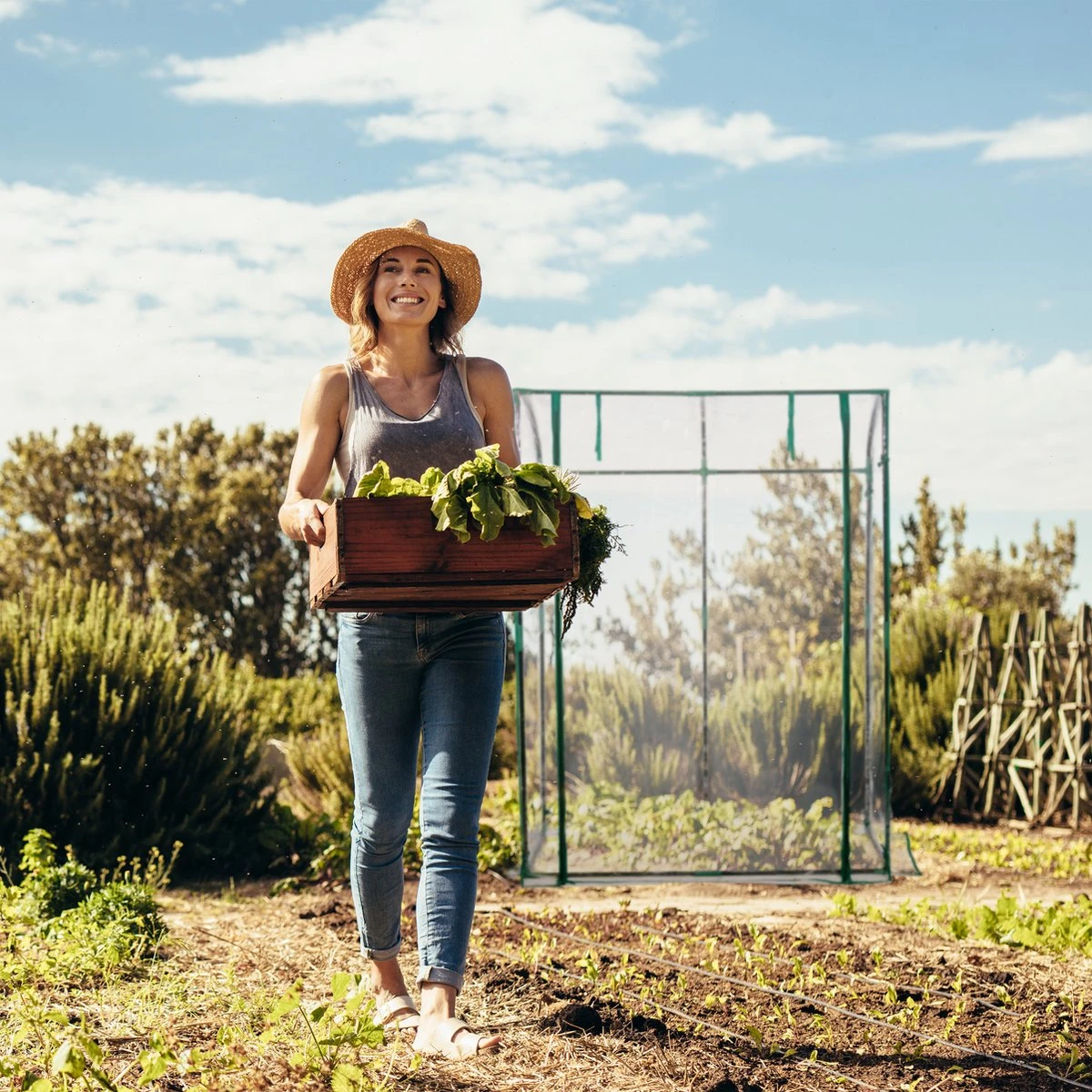 Relaxdays Tomatenkas 170 X 130 X 75 Cm - Folie Tuinkas - Grote Tomaten Kweekkas - Foliekas - Afbeelding 7