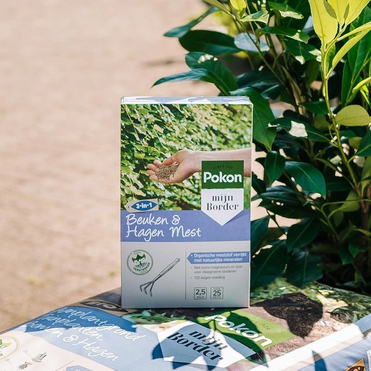 Pokon Beuken & Hagen Mest - 2,5kg - Meststof - 3-in-1 Werking - Afbeelding 5