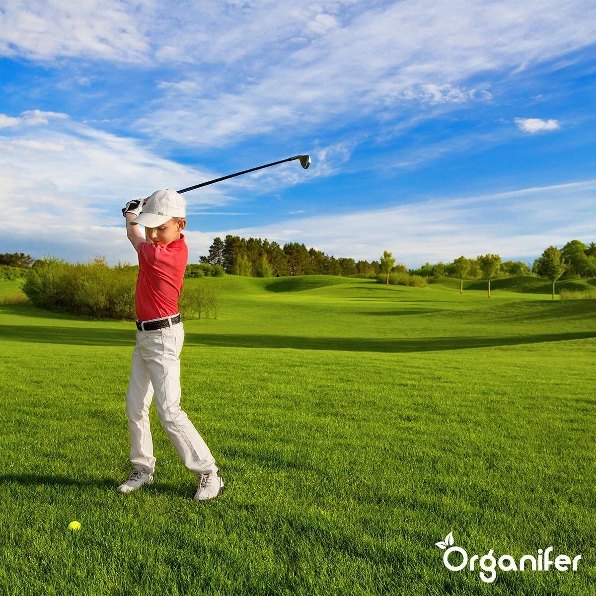 Lavagruis Uit Eifel Oergesteente (20Kg Voor 200m2) Grof Lavameel 0-2mm - Organifer - Afbeelding 8