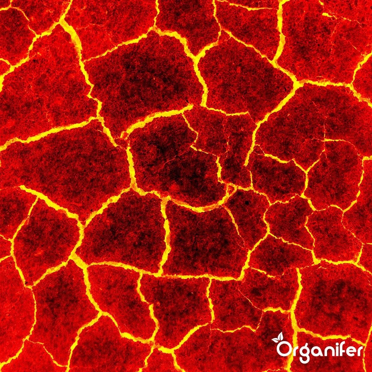 Lavagruis Uit Eifel Oergesteente (20Kg Voor 200m2) Grof Lavameel 0-2mm - Organifer - Afbeelding 9