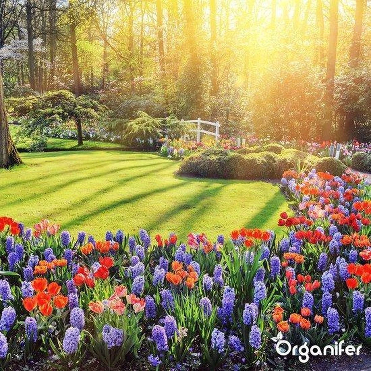 Lavagruis Uit Eifel Oergesteente (20Kg Voor 200m2) Grof Lavameel 0-2mm - Organifer - Afbeelding 15