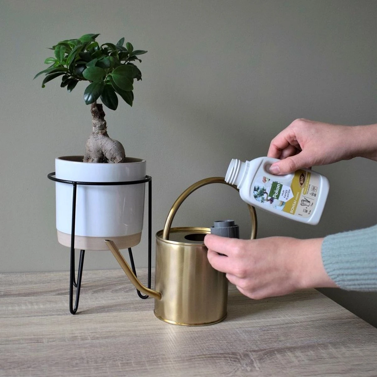 Pokon Bio Bonsai Voeding - 250ml - Plantenvoeding (bio) - 7ml Per 1L Water - Afbeelding 6