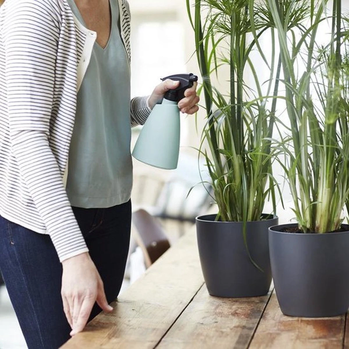 Elho Brussels Sprayer 12 - Plantenspuit Voor Binnen - Ø 11.3 X H 22.3 Cm - Groen/Mint - Afbeelding 5