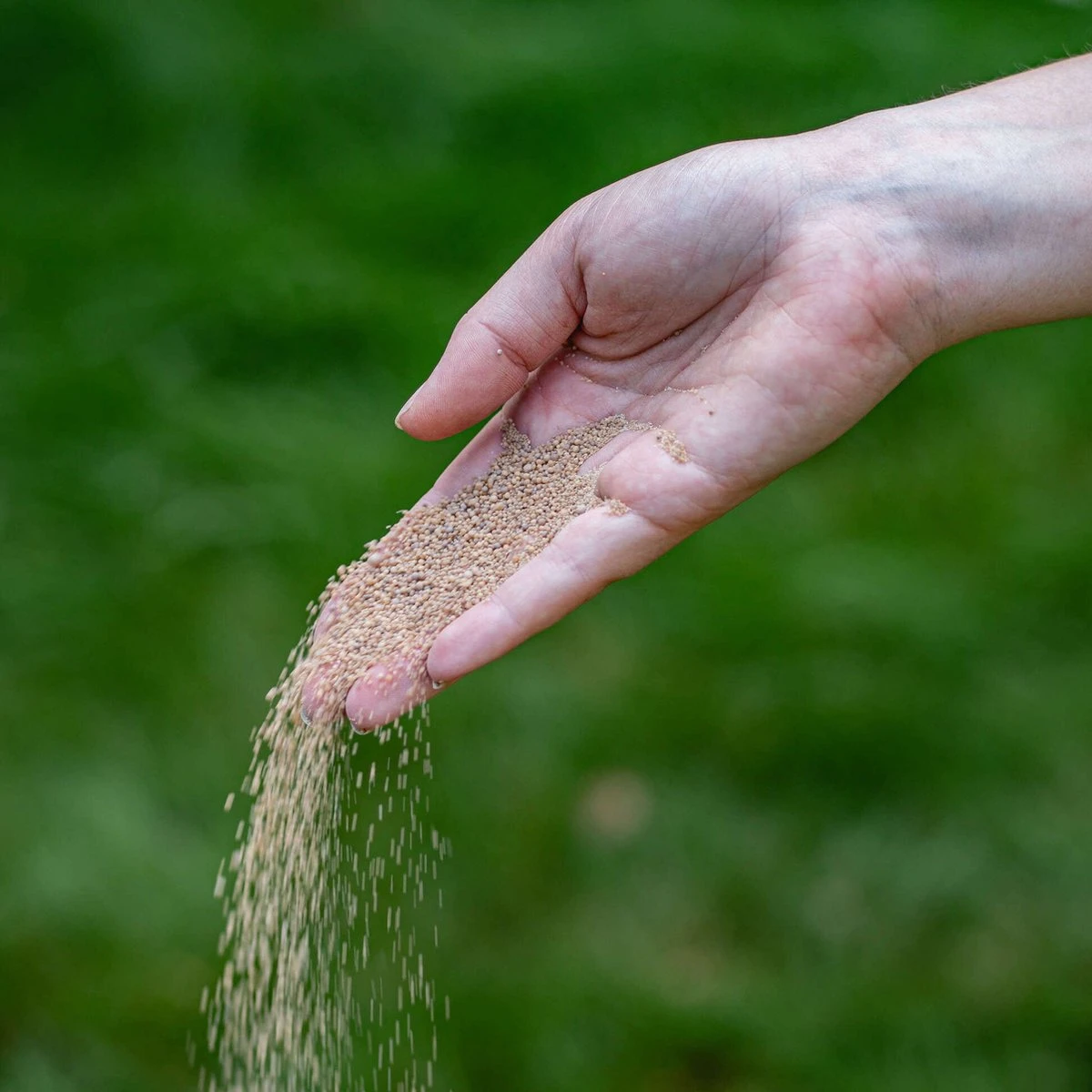 ECOstyle AZ Kalk Micro Korrel – Voor Gazon, Sier- En Moestuin - Corrigeert Zuurgraad Direct En Langdurig - Werkt Tegen Mos - CO2-Neutraal – 135 M² - 10 KG - Afbeelding 5