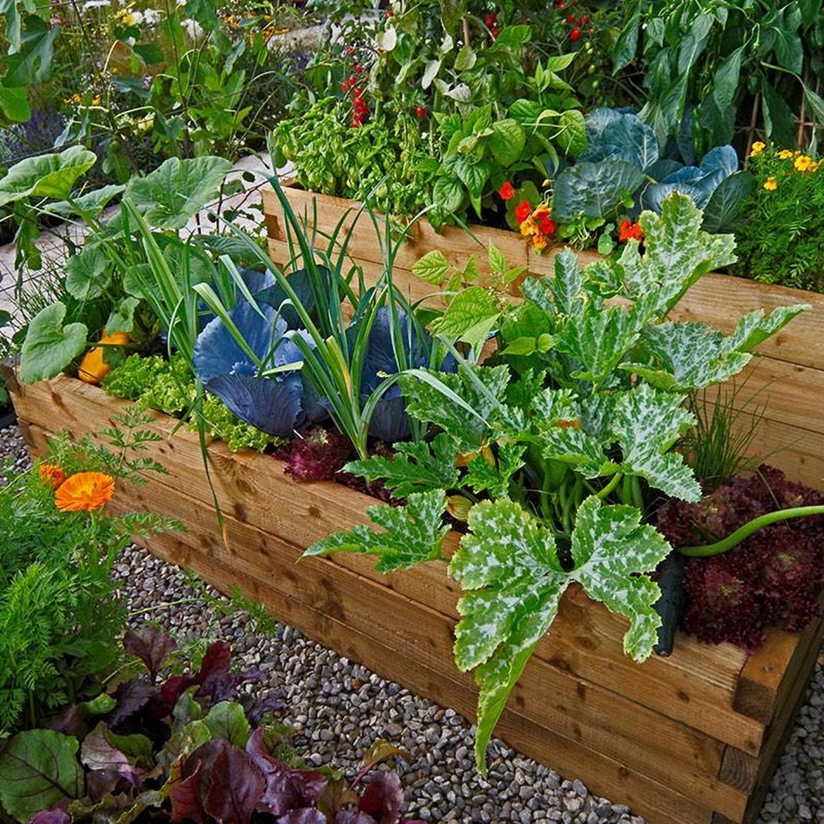 Mycorrhiza Mix Moestuin 200Gr - FungiLife Endomycorrhiza - Afbeelding 2