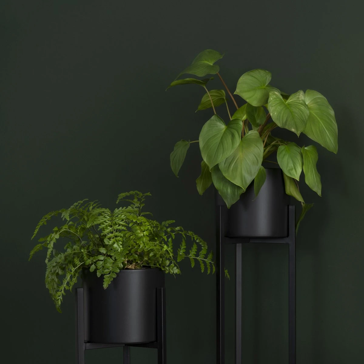 QUVIO Plantenstandaard Inclusief Pot - Staande Plantenbak - Metaal - Plantenbak - Plantenhouders - Planten Zuilen - Voor Buiten - Bloempot - 22 X 22 X 90 Cm - Zwart - Afbeelding 4