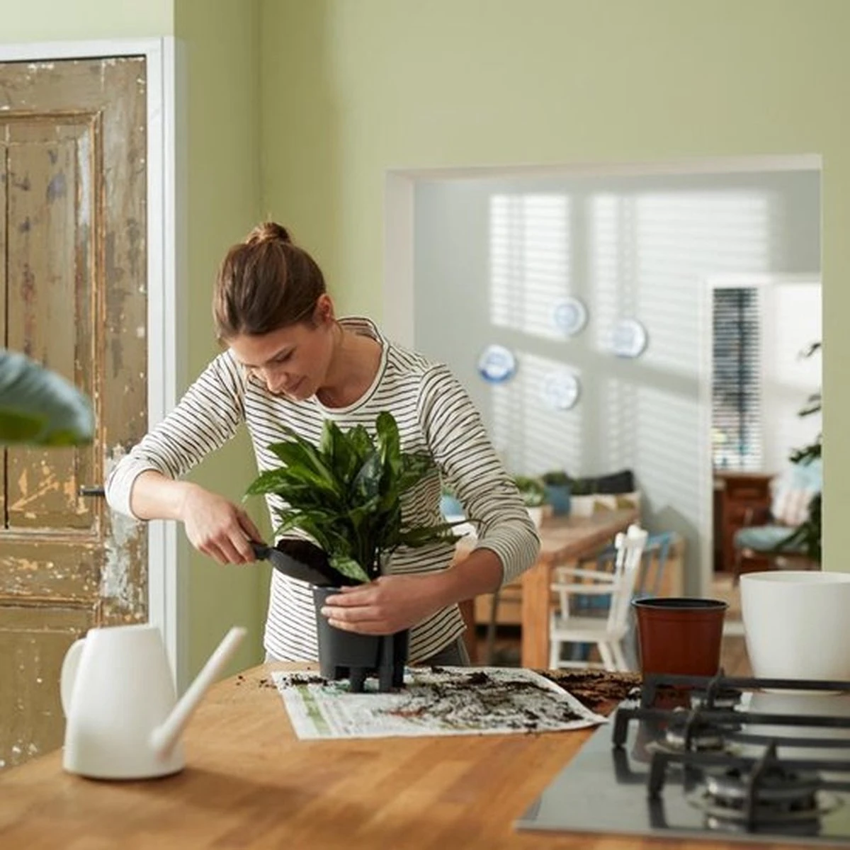 Elho Self-watering Insert 24 - Accessoires Voor Binnenaccessoires - Ø 23.7 X H 22.2 Cm - Zwart/Living Black - Afbeelding 5