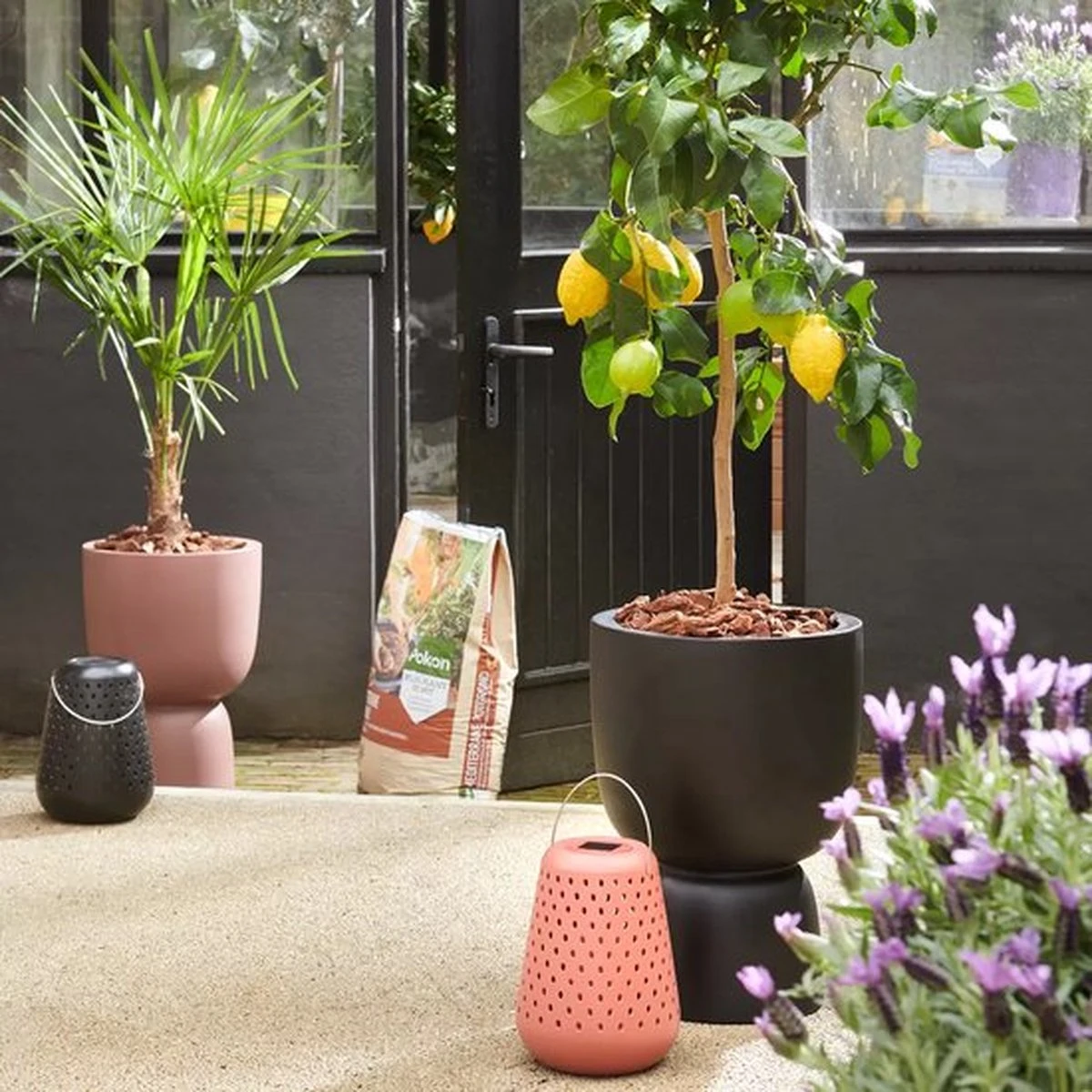 Elho Pure Coupe 35 - Bloempot Voor Binnen & Buiten - Ø 34.9 X H 49.0 Cm - Zwart/Zwart - Afbeelding 11