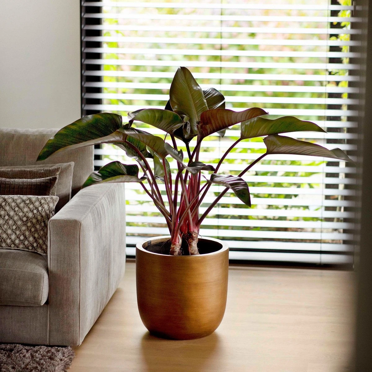 Capi Europe - Bloempot Bol Retro - 23x21 - Goud - Bloempot Voor Binnen - BRTG134 - Afbeelding 4