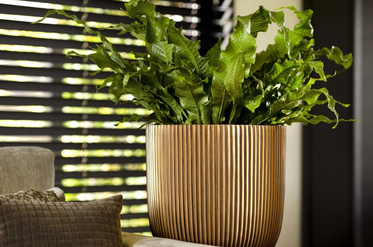 Capi Europe - Bloempot Bol Groove - 23x21 - Goud - Bloempot Voor Binnen - BGVGB134 - Afbeelding 2