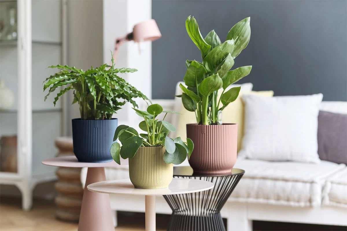 Elho Vibes Fold Rond 30 - Bloempot Voor Binnen - Ø 29.5 X H 27.2 Cm - Zijdewit - Afbeelding 12