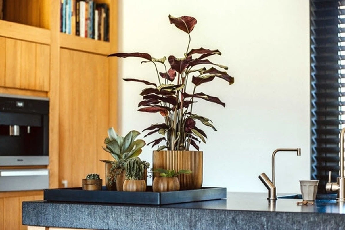 Capi Europe - Vaas Bol Groove XL - 39x33 - Goud - Bloempot Voor Binnen - Opening ⌀24 - GVGB270 - Afbeelding 4