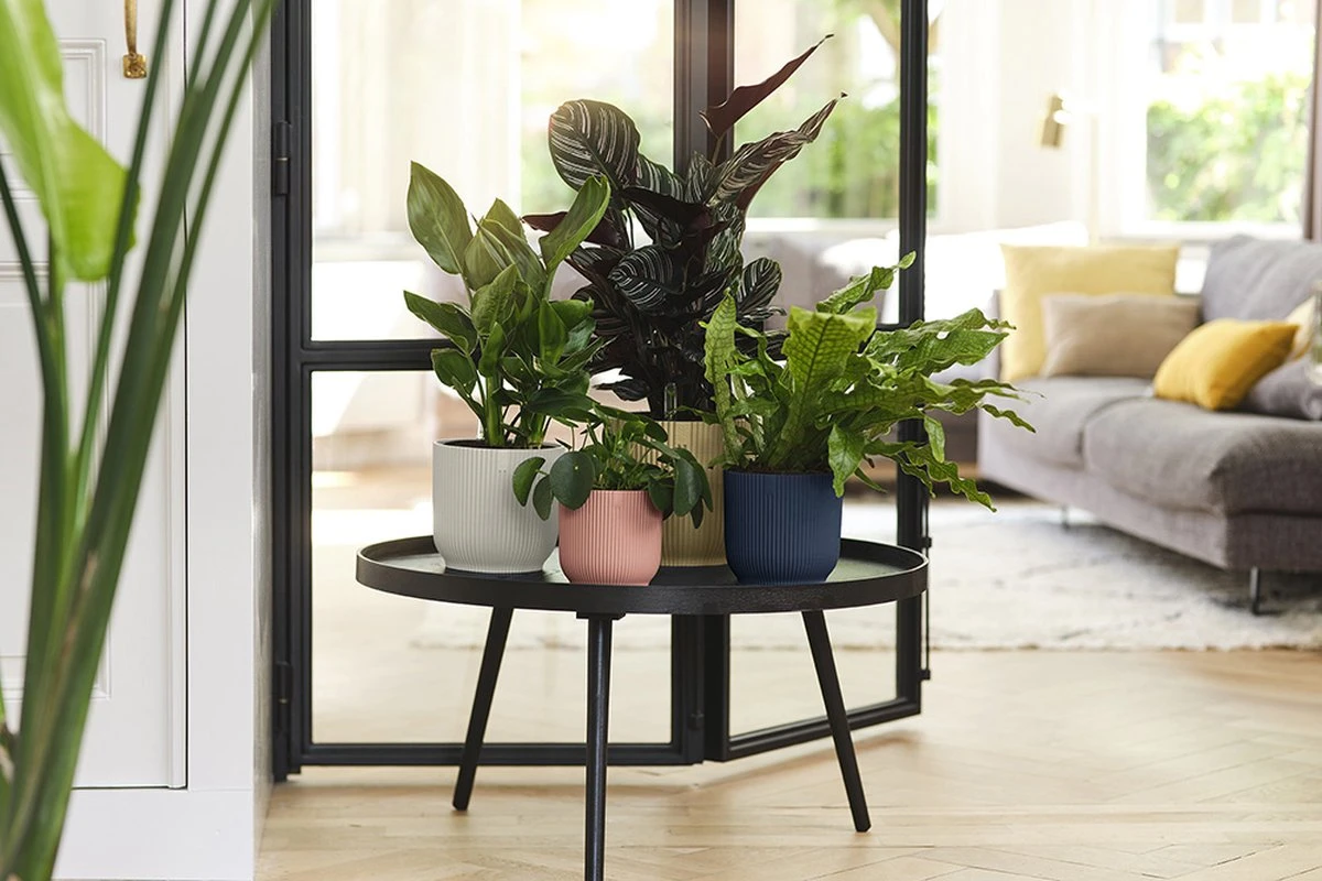 Elho Vibes Fold Rond 22 - Bloempot Voor Binnen - Ø 22.0 X H 20.2 Cm - Diepblauw - Afbeelding 8