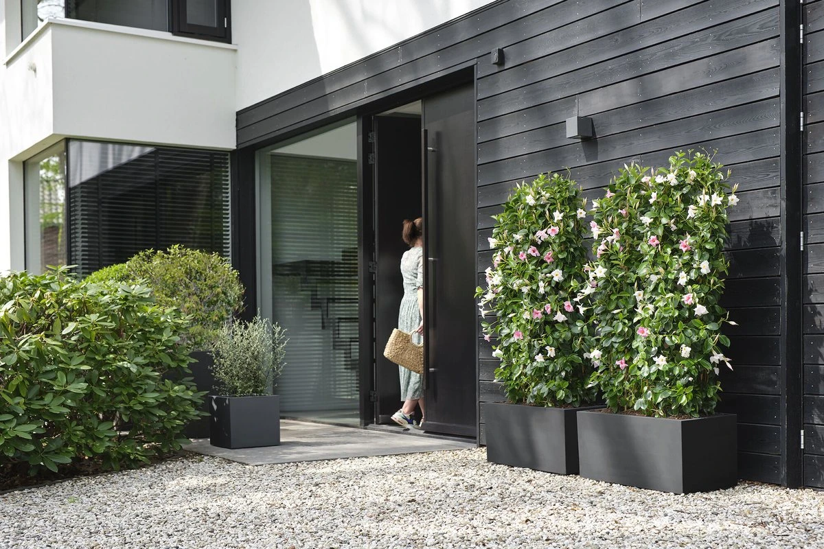 Elho Vivo Next Vierkant 40 - Plantenbak Voor Binnen & Buiten - Ø 39.0 X H 37.9 Cm - Zwart/Living Black - Afbeelding 6