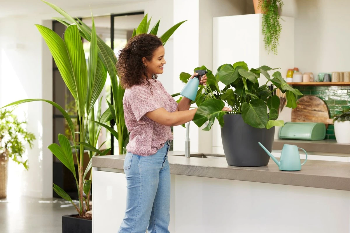 Elho Brussels Gieter 1,8l - Gieter Voor Binnenkweken En Oogsten - Ø 33.0 X H 17.0 Cm - Groen/Mint - Afbeelding 4