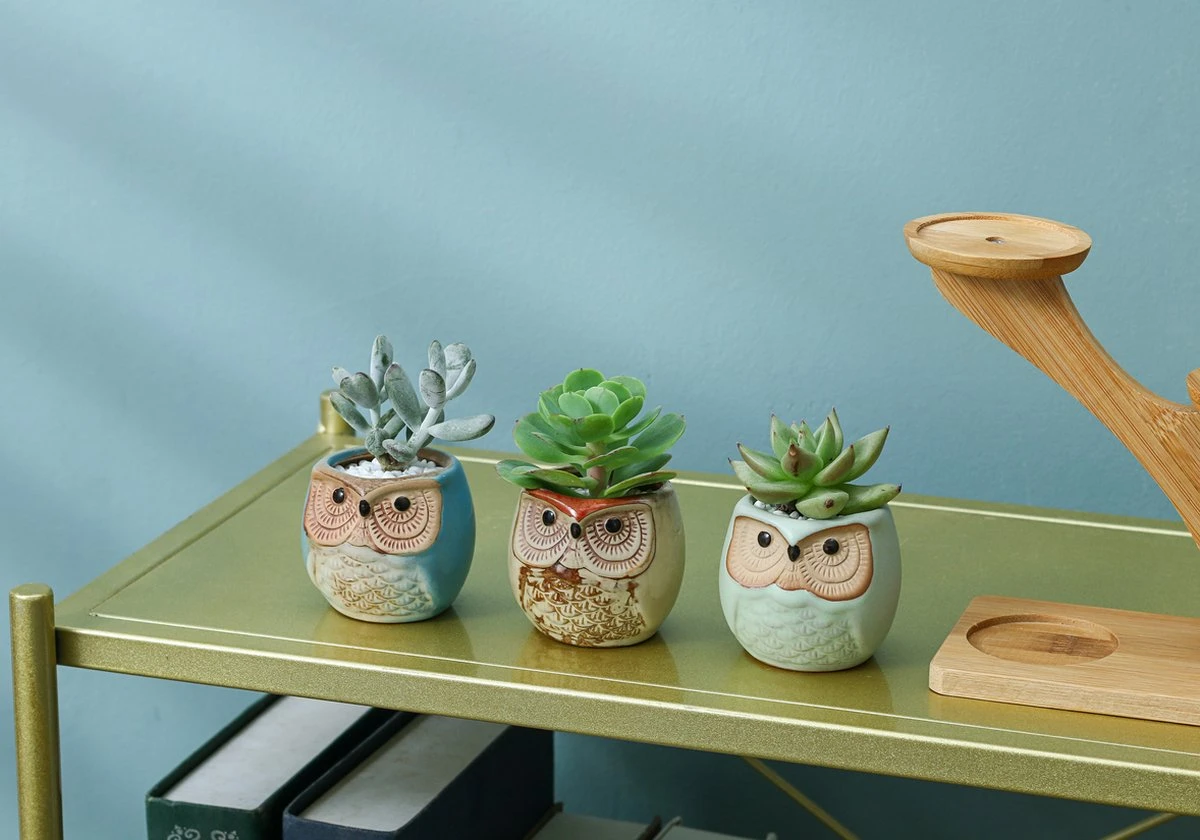 Luxe Bamboe Houten Boom Met 3 Keramiek Uil Bloempotten/Plantenpotten Op Standaard/Voet Voor Binnen En Buiten - Modern Design Bloempot/Plantenpot Op Poten/Pootjes-Plantenbak Mini Cactus Nep Plant Pot Houder - Kleine Bloembakken Plantenrek/Plantenkurk - Afbeelding 4