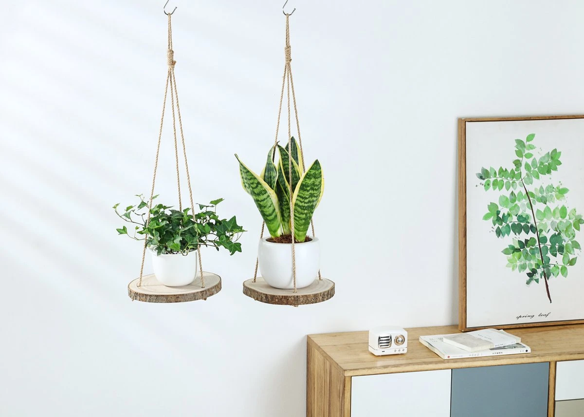 Set Van 2 Boomstam Rond Wandrek Plantenhangers - Boho Jute Houten Plantenrek - Hangpot Voor Binnen/Buiten - Hangende Bloempot Plank - Hangplant Houder - Bohemian Macrame Stijl Wandhanger - Hangplank Plant Hanger - Planthanger - Ø Rond 25-20cm - Afbeelding 6