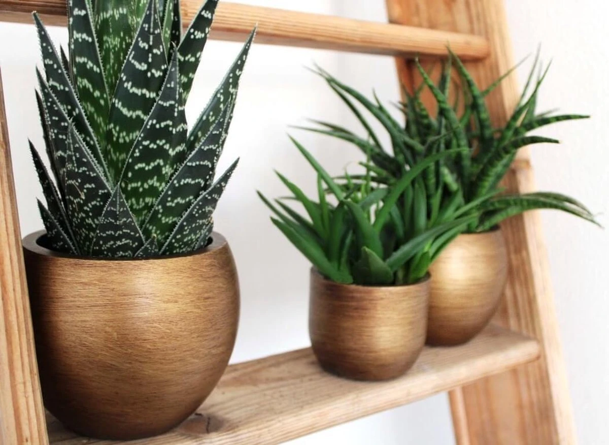 Capi Europe - Bloempot Bol Retro - 23x21 - Goud - Bloempot Voor Binnen - BRTG134 - Afbeelding 6