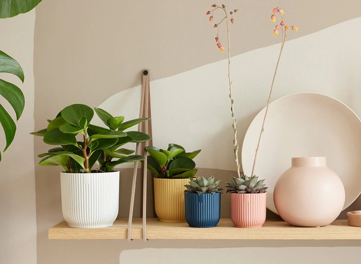 Elho Vibes Fold Rond 30 - Bloempot Voor Binnen - Ø 29.5 X H 27.2 Cm - Zijdewit - Afbeelding 3