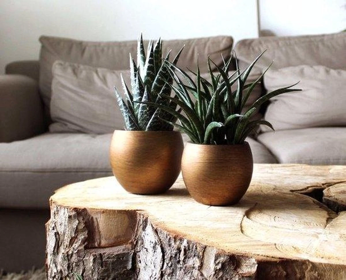 Capi Europe - Vaas Bol Retro - 30x25 - Goud - Bloempot Voor Binnen - BRTG104 - Afbeelding 2