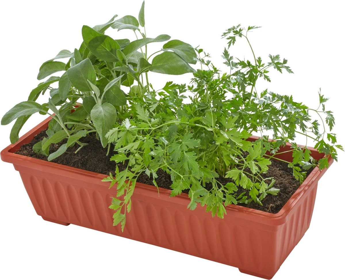 Tectake - Verticaal Plantenrek Met 4 Bakken - 403445 - Afbeelding 4