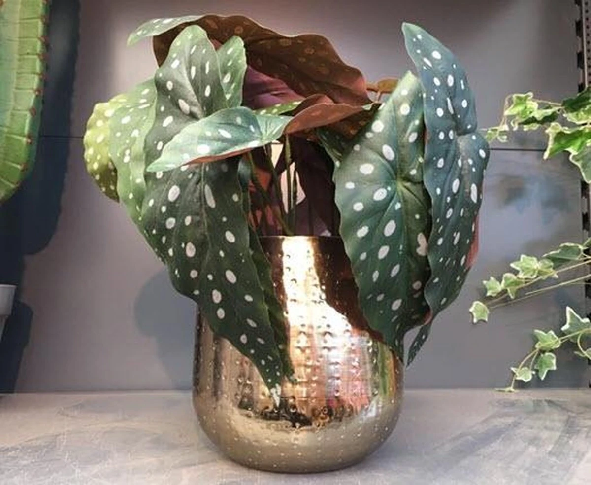 Gina Da Bloempot Karakter Goud - XL - Afbeelding 4