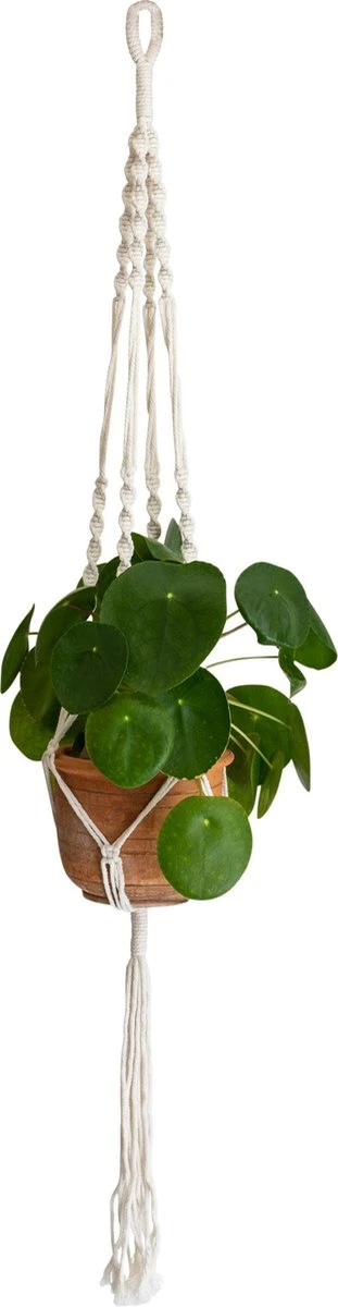 QUVIO Plantenhanger Voor Bloempot - Hangpot - Hangende Bloempot - Plantenhanger Macrame - Plantenhanger Binnen - Hangpotten - Plantenbakken - Hanging Baskets - Gevlochten Touw Met Spiralen