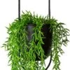 Be-Inspired® Hangende Bloempot Ovaal - Bloempot Binnen - Voor Hangplant – Plant Bloem Pot Met Opknoping – Plantenhanger - Plantenbak - Industrieel – Scandinavisch - Metaal - Zwart