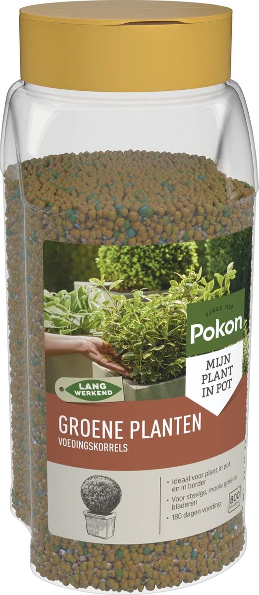 Pokon Voedingskorrels Voor Groene Planten - 800gr - 180 Dagen Voeding - Plantenvoeding - Afbeelding 2