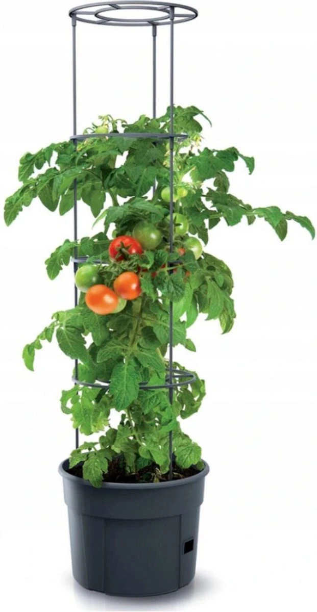 TOMATENPOT VOOR HET KWEKEN VAN TOMATEN PROSPERPLAST 28L - Afbeelding 3