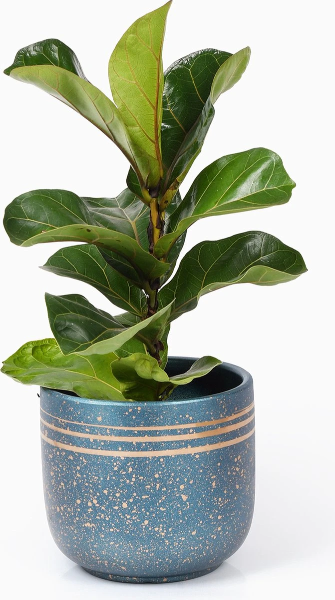 Bloempotten Binnen - Keramiek - Gouden Rand - Bloempot Buiten - Afvoergat 24 - Small Set Van 3 - 15 Cm - Afbeelding 2