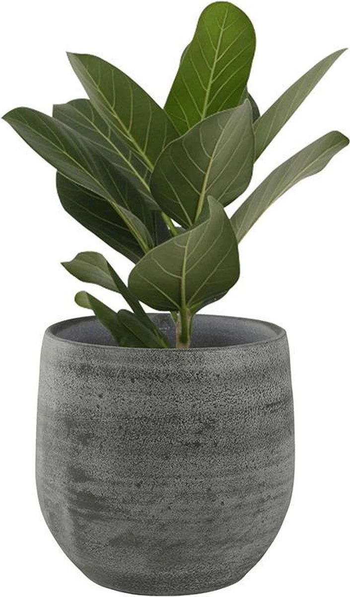 Pot Esra Mystic Grey Bloempot Binnen 15 Cm - Afbeelding 4