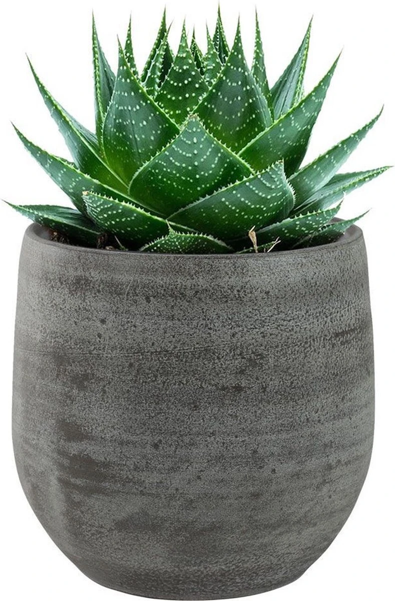 Pot Esra Mystic Grey Bloempot Binnen 15 Cm - Afbeelding 3