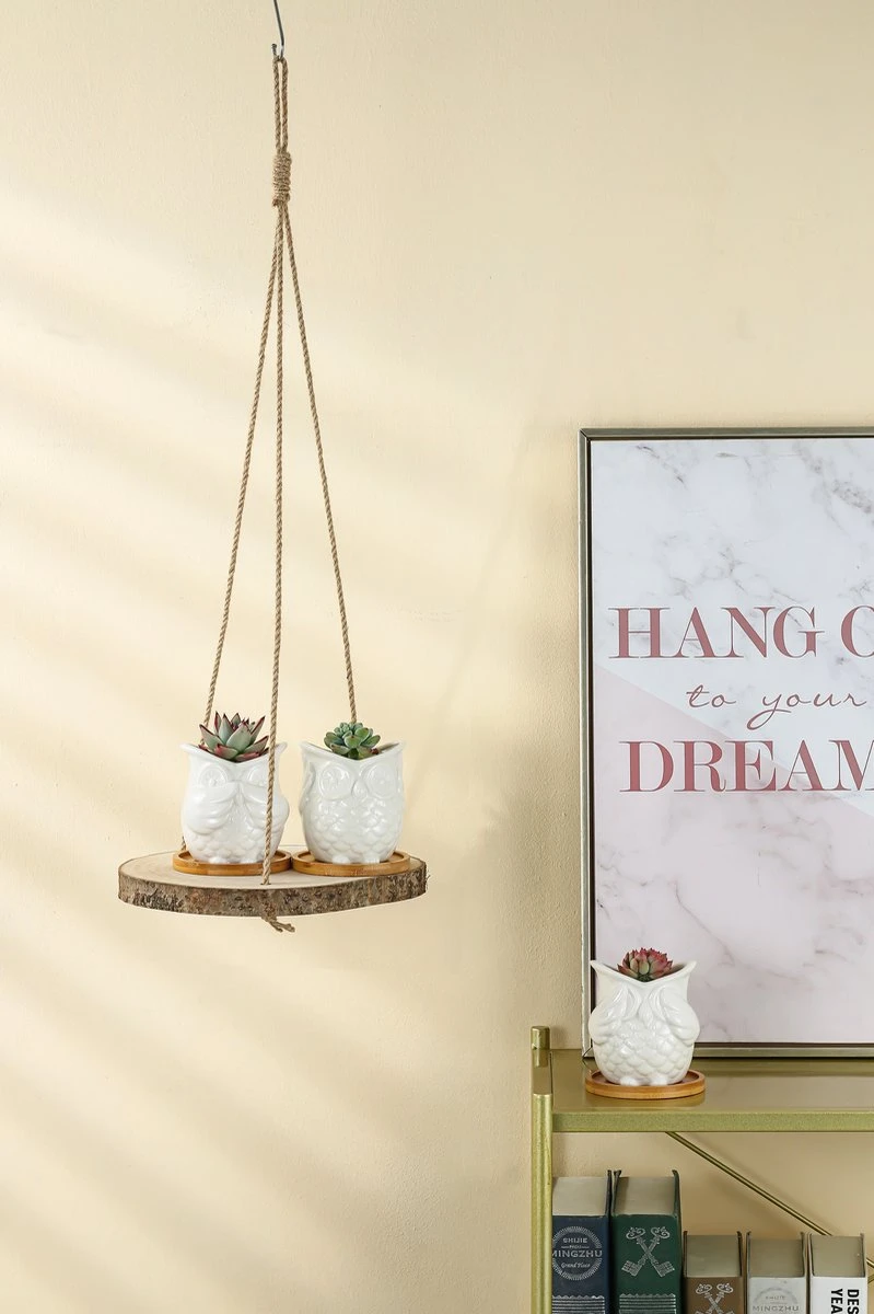 Set Van 2 Boomstam Rond Wandrek Plantenhangers - Boho Jute Houten Plantenrek - Hangpot Voor Binnen/Buiten - Hangende Bloempot Plank - Hangplant Houder - Bohemian Macrame Stijl Wandhanger - Hangplank Plant Hanger - Planthanger - Ø Rond 25-20cm - Afbeelding 4